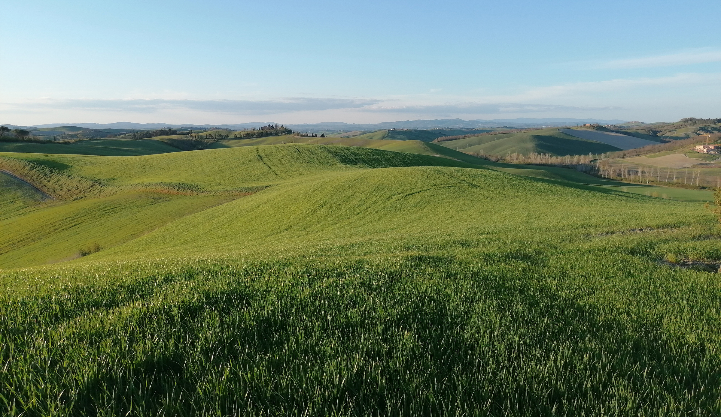 Countryside in Tuscany, landscape with hills