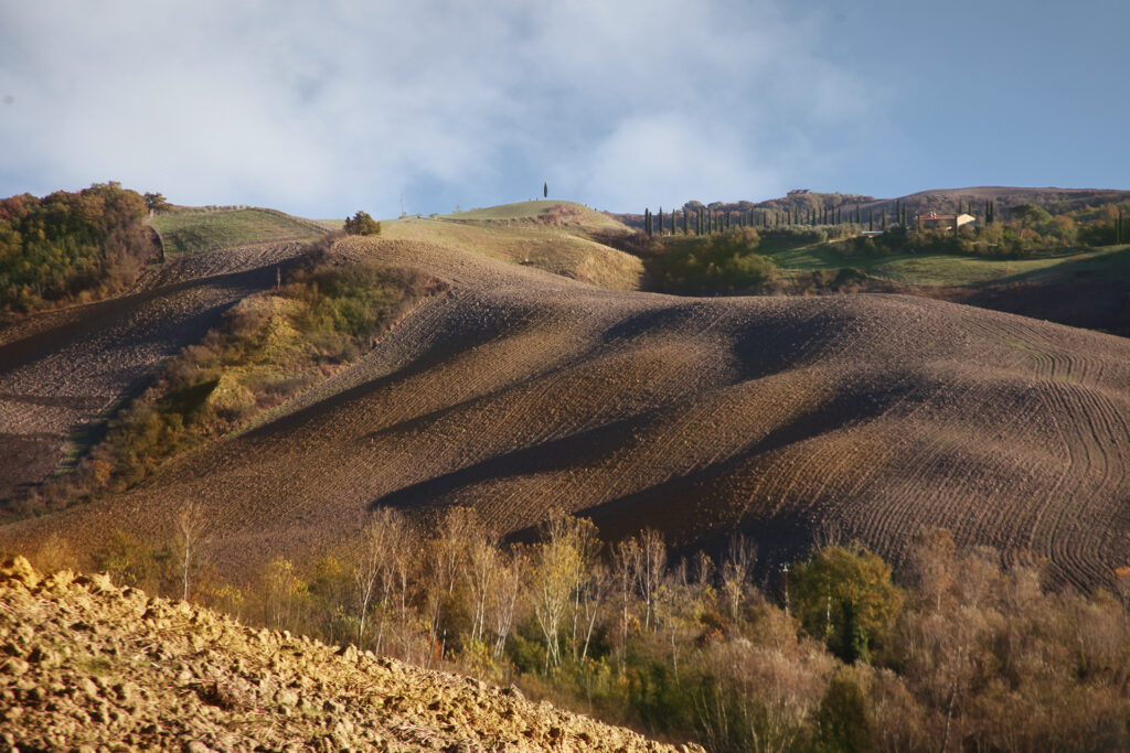 Tuscan hills, Siena