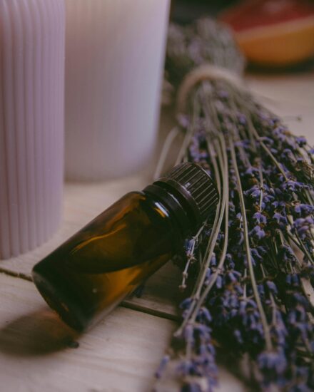 Essential Oil of Lavender