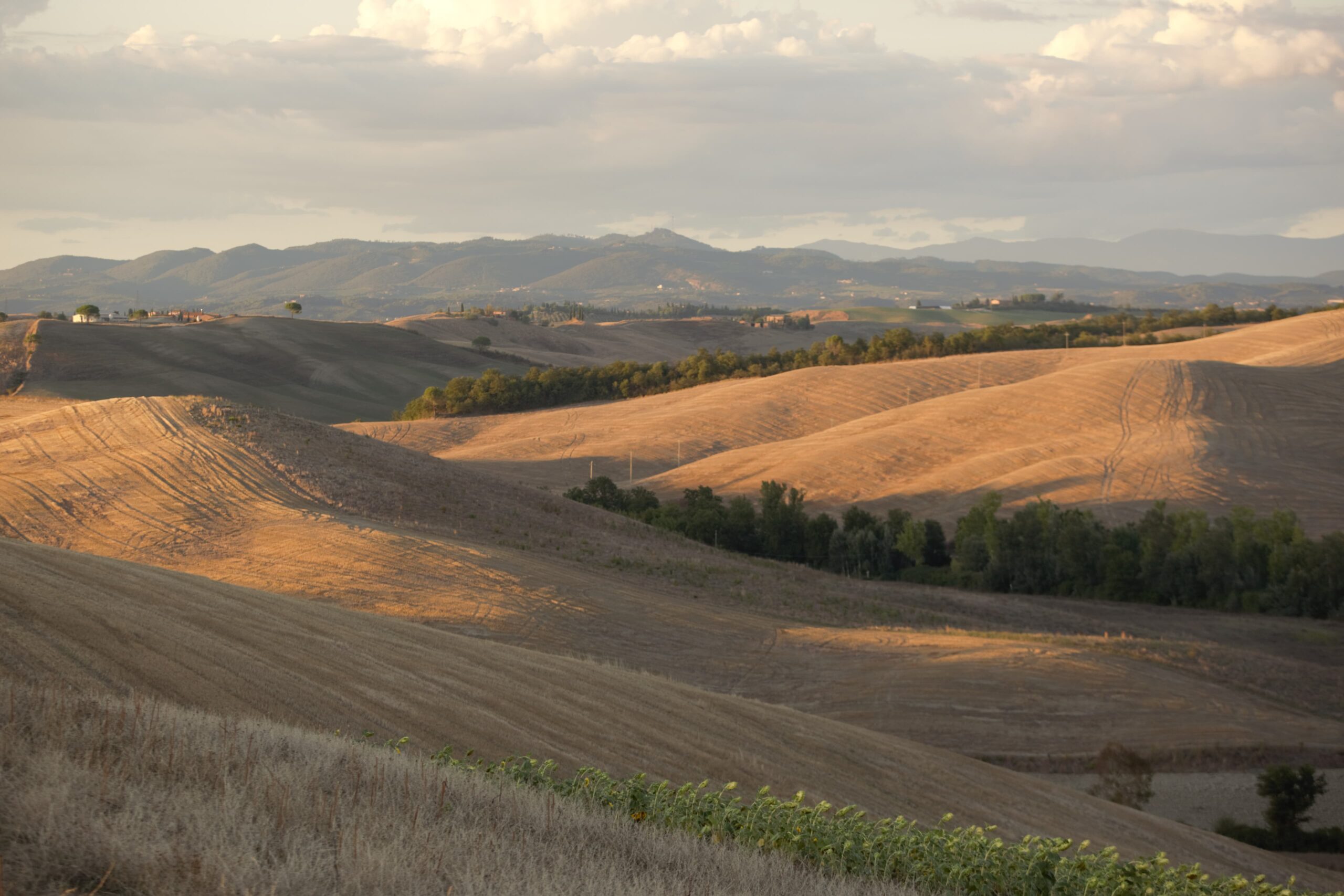 Tuscan Hills