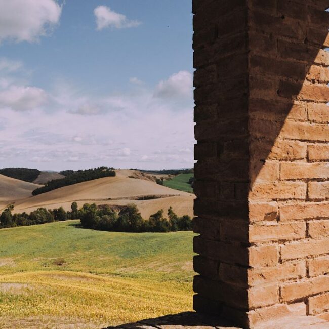 Tenuta d'Arbia Tuscan Hills 1