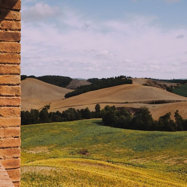 Tenuta d'Arbia Tuscan Hills