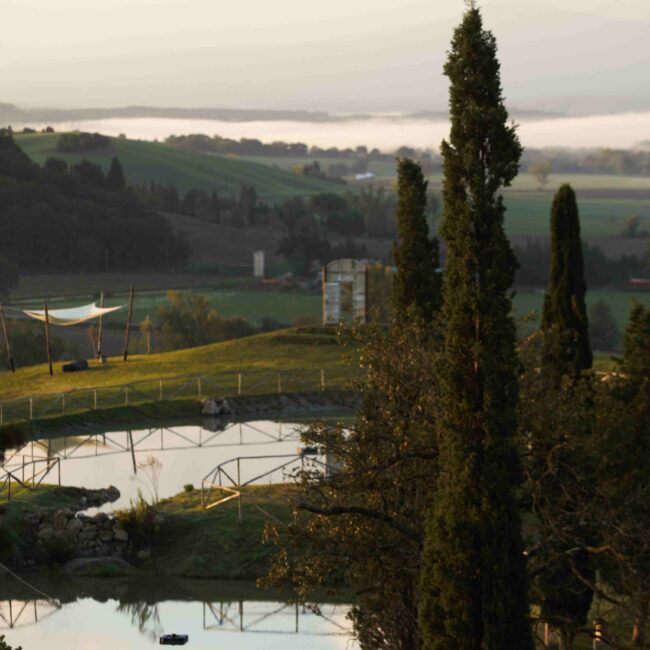 Tenuta d'Arbia